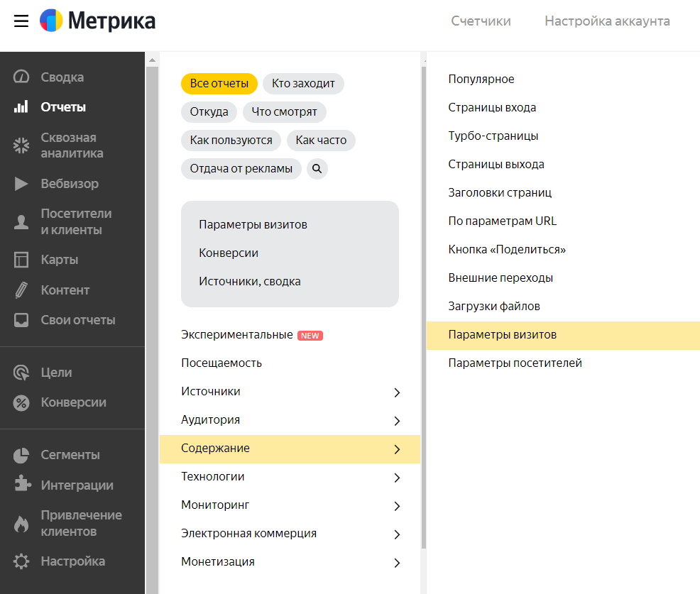 Яндекс.Метрика где параметры визита